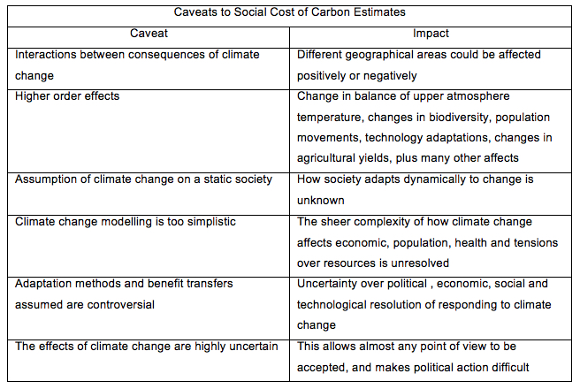 Caveats to Social Cost of Carbon Estimates